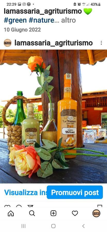 La Massaria Bed and Breakfast Avellino Exterior foto